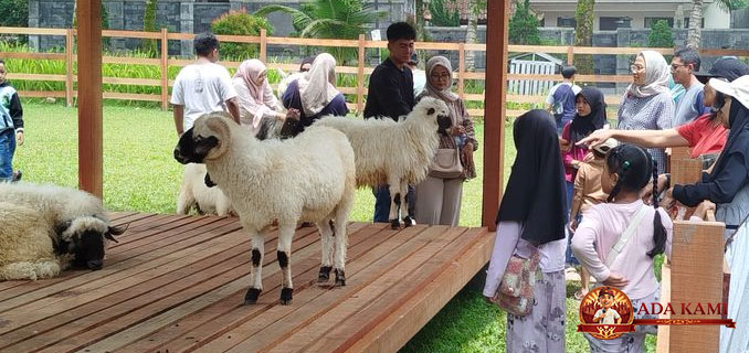 Ijen Farmhouse Destinasi Wisata Edukasi Baru di Banyuwangi yang Viral