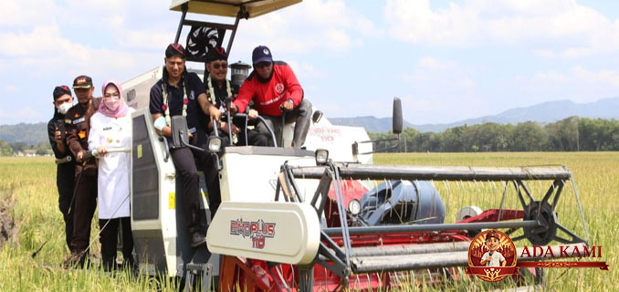 Kementan Bentuk 33 Balai Besar Modernisasi Pertanian Guna Genjot Produksi