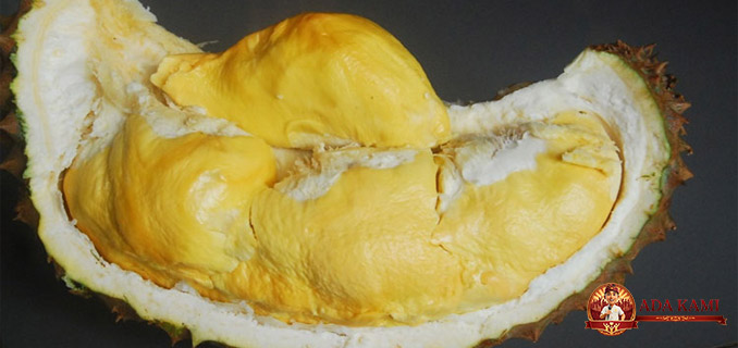 Pemkab Pasuruan Gandeng BRIN, Teknologi Canggih Basmi Hama Durian